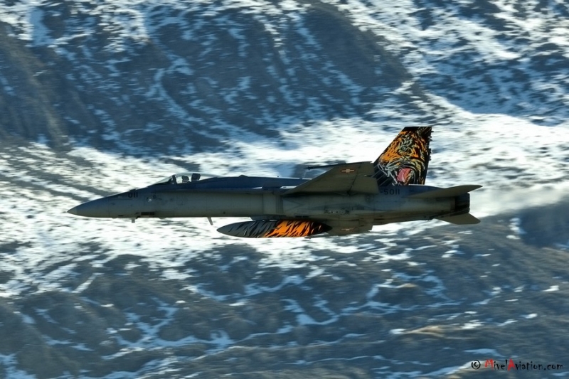 AVI_5362 Hornet.JPG