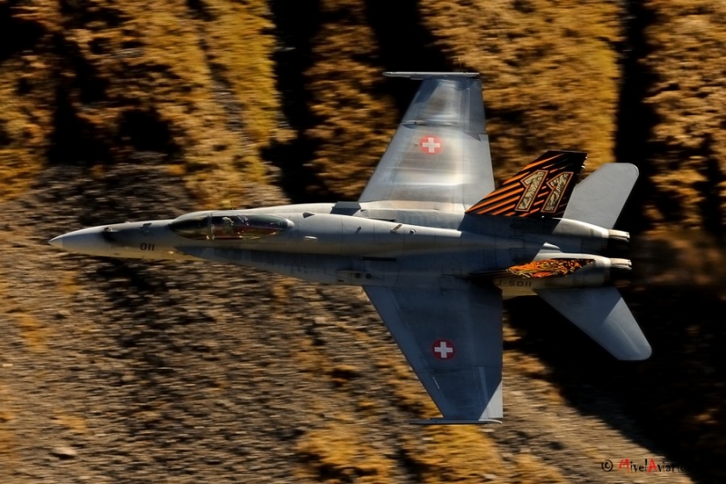 AVI_5375 Hornet.JPG