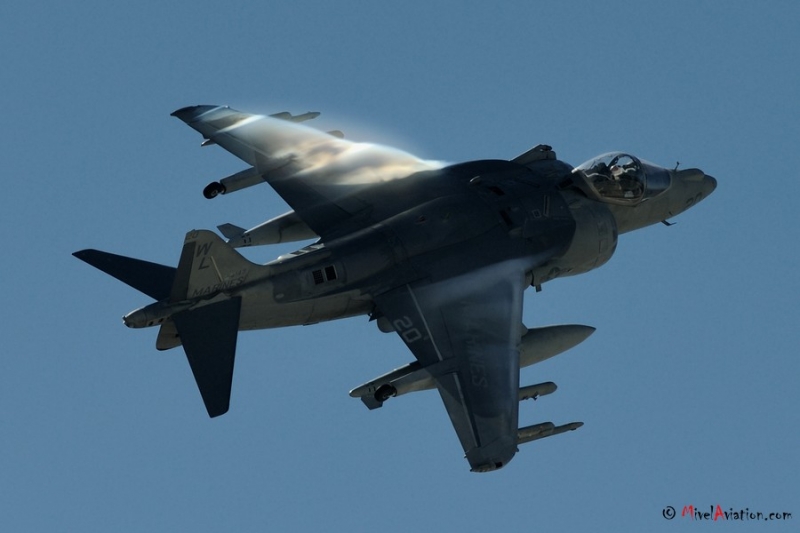 AVI_5073 Harrier.JPG